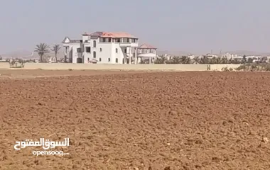  2 قطعة ارض مميزة استثماريه 5دونمات حوض يرموك الغربي بقرب من شارع البتراء وقصر الجمال تبعد 300 ع شارع