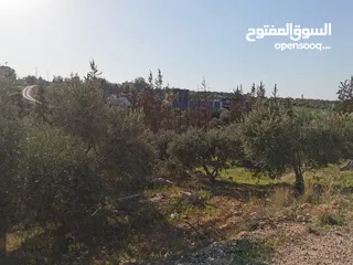  5 قطعة أرض مميزة في السلط الصبيحي سيحان بسعر مغري بمنطقة جميلة