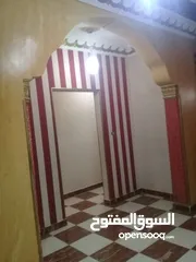  9 شقه للبيع في زهراء مدينه نصر شارع حسني مبارك
