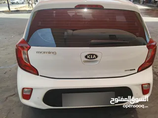  25 كيا مورنينج 2020 بحاله الشركه حره جديد