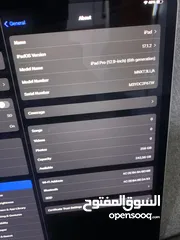  7 iPad Pro6 12.9 256 GB WI-FI