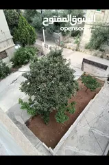 6 شقه للبيع مع السطح وحق الاعتلاء