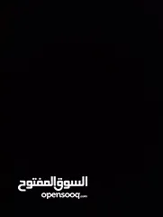  1 عم ببحث عن عمل