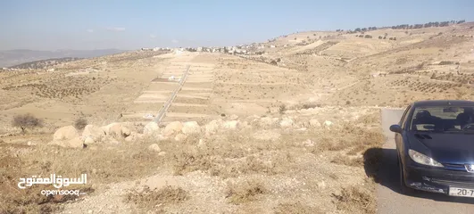  10 الكمشة شمال شفابدران