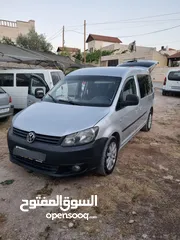  3 كادي شصي طويل