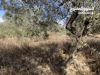  1 ارض لبيع على شارع