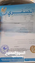  5 بيجو 206 سلفر