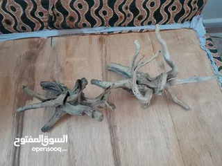  4 حوض اسماك كريستال