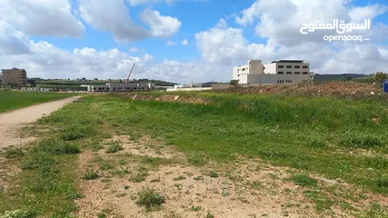  3 Land For Sale In Alyadodeh ( Property 42386 )-174714076