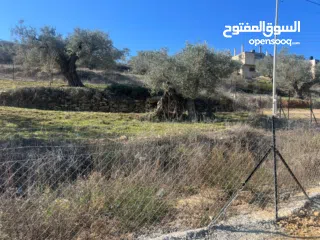  3 كوبر / أرض للبيع واصلها كل الخدمات