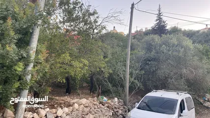  2 ارض 240 متر مربع بسعر لا يعوض