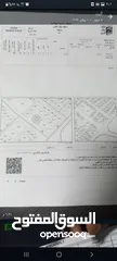  3 أرض للبيع بمنطقة البيضاء حوض الحميديين مساحة 1131 متر على ثلاثة شوارع  تبعد عن جمرك عمان كيلو ميئتان