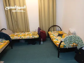  6 Executively furnished registered hostel for sale