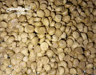  15 اعلاف أسماك ALFA-MIX FISH FEED