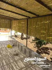  18 معرشات القصيب