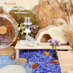  11 Hamster wheel and water bottle