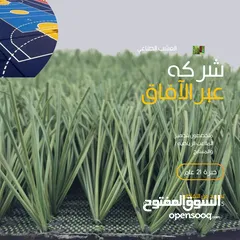  3 نجيل ملاعب رياضيه