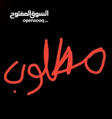  1 مطلوب جاجه براهما راقده داخل عمان