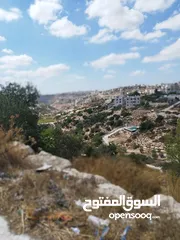 4 أرض للبيع 850 متر طابو في لوزا