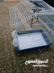  3 قفص عصافير