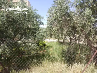  8 بيت طابقين للبيع