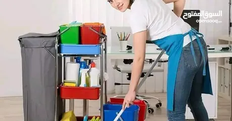  14 شركه تكه لجميع خدمات النظافة المنزليه والفندقية والشركات