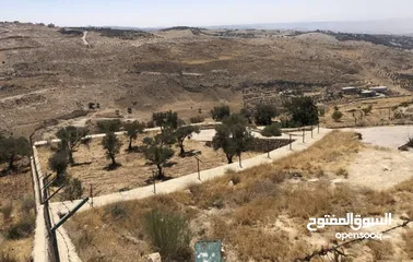  4 مزرعة للبيع في السلط