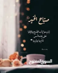  1 زوز فراريج استوراليات و دجاجه للبيع