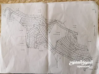  2 دونم للبيع بسعر مغري في بيت امرين قريب جدا من الخدمات و البناء