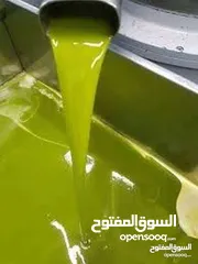  5 زيت زيتون بلدي نخب اول كفالة الكفاله موسم 2024/2025 من منطقة الغوير الكرك