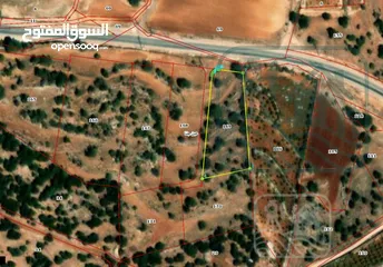  1 قطعة ارض في اجمل مواقع عجلون بسعر مغري للبيع قابل للتفاوض على السعر  (القطعه 3 دونمات ونصف )