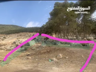  2 قطعه ارض جميله جدا بالرميمين السلط
