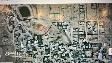  4 قطعة أرض أريحا عقبة جبر المتر علا سبعين دينار متوفر دلم أو حسب رغبت اشاري