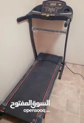  1 Fit horse treadmill