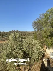  4 مزرعة للبيع