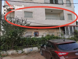  1 شقة مفروشة للايجار - لطالبات جامعة فقط