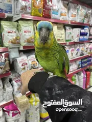  26 نشتري منك بأحسن الأسعار اقرأ الوصف صديقي