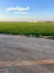  1 ارض للبيع الصريح المتر 48 المسرب جنوبي