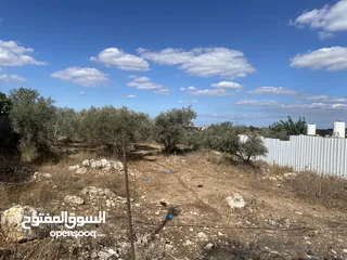  2 أرض مميزة للبيع – موقع استثماري وسكني في قلقيلية