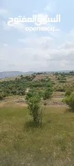  8 مزرعه  صغريه راقيه على قمه جبل مطله للغرب كوشان مستقل بسعر مميز جدا منطقه مزراع راقيه