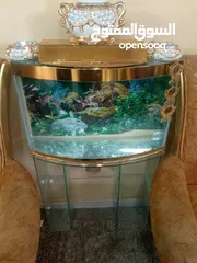  4 حوض للسمك الزينه
