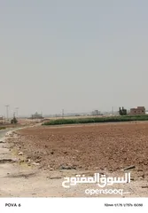  6 9 دنمات  الذهبيه الغربيه حوض الخربه الشمالية شارع عمان التنموي طريق المطار ايكيا بجانب مشروع الشهد4