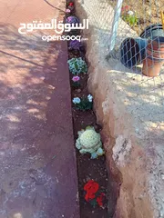  4 مزرعة للبيع من اراضي غرب عمان  منطقة البصة (ابو السوس ) للبيع بسعر مغري