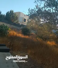  5 بيع قطعة ارض