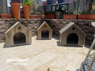  15 بيت للكلاب او القطط خشب لاتيه 18 قوي ومتين عده موديلات وألوان
