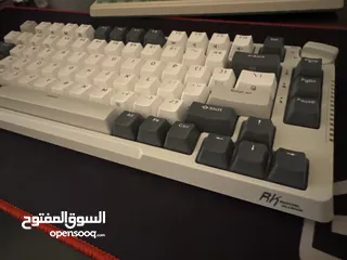  2 Royal Kludge Keyboard for gaming