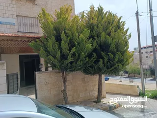  1 شقة ارضية مفروشة في الجبيهة 9 بالقرب من الجامعه الاردنيه