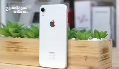 3 مطلوب جهاز او شاشة ايفون xr مسكر ايكلاود او شاشة xr اصلية iPhone xr