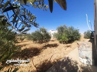  7 منزل للبيع في مادبا