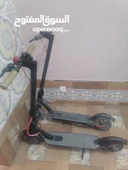  5 scooter for sale